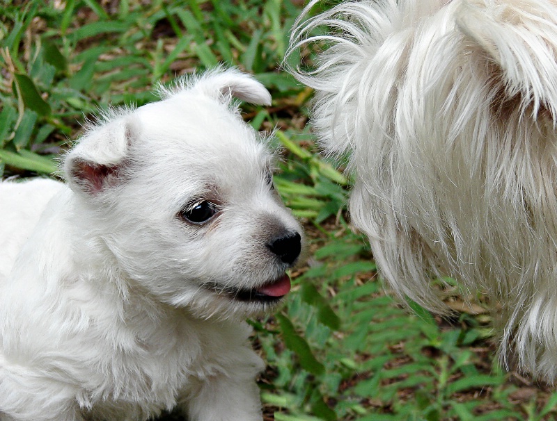 Learning from Momma