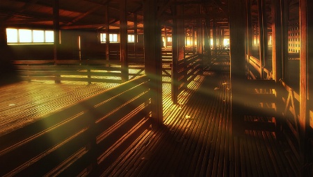 Mount Elephant Shearing Shed