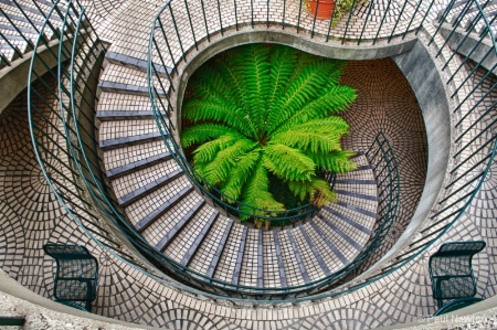 Fern Grotto