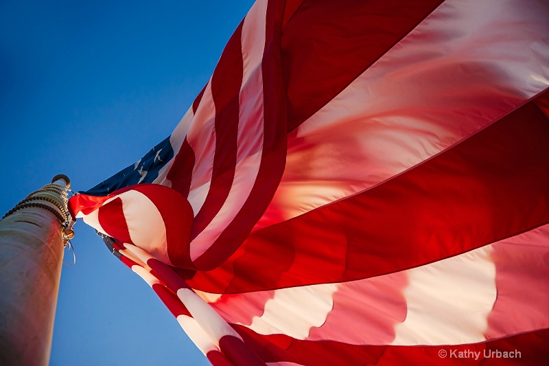 Looking Up to the Flag