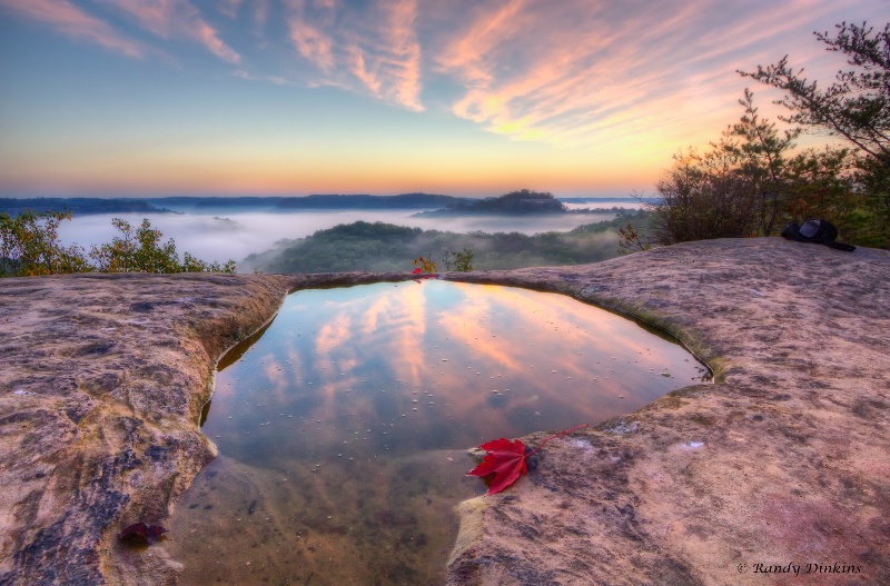 Awaiting a red leaf sunrise