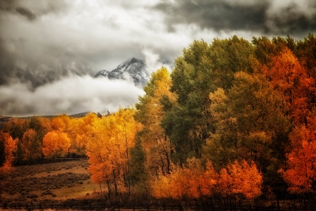 Peeking Through the Clouds