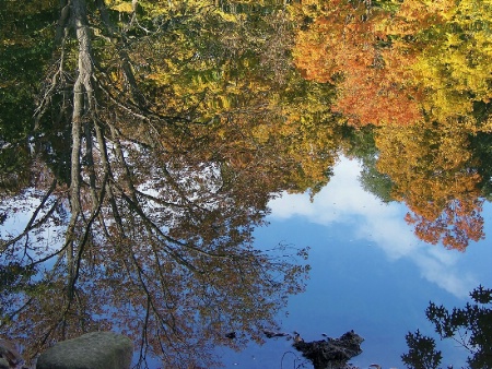 Reflecting on Autumn