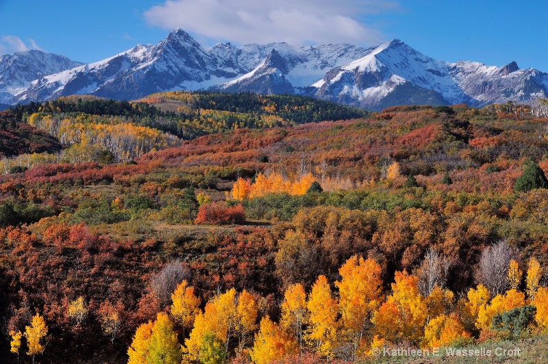 Fall in Colrado