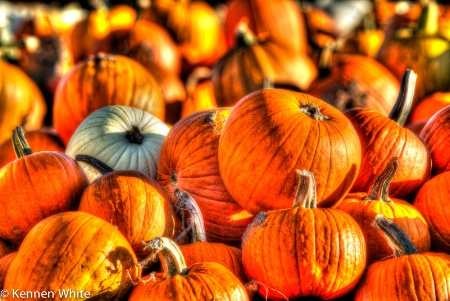 Pumpkins