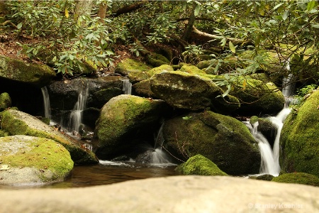 Along the Trail in Gatlinburg