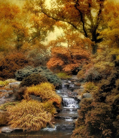 Japanese Rock Garden