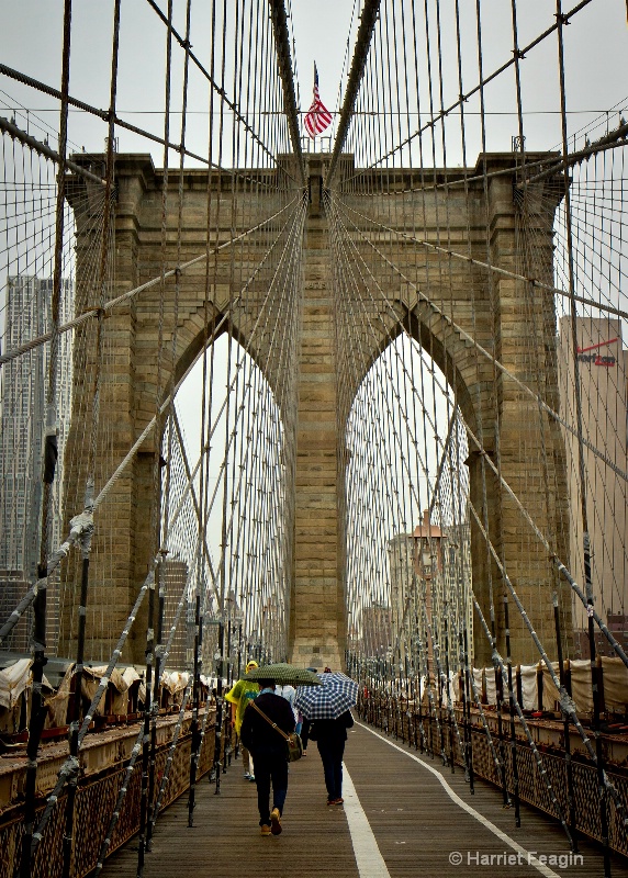  mg 0682 stroll in the rain on the brooklyn bridge