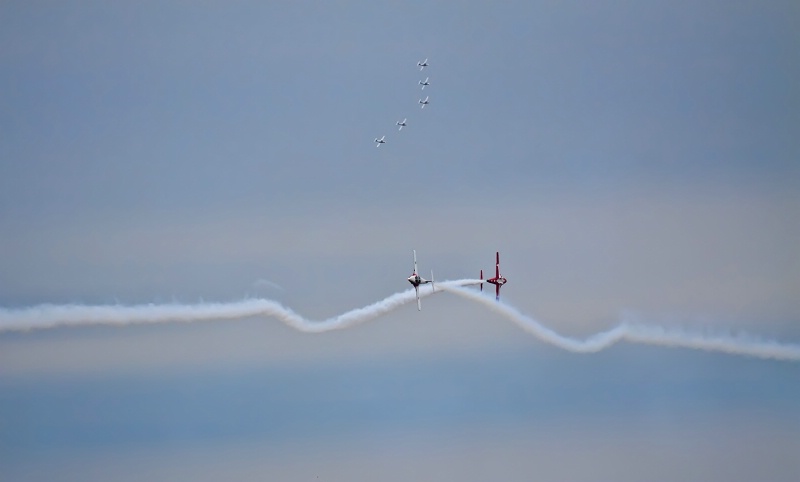 Snowbirds - 2