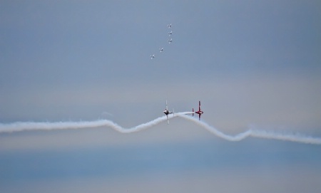 Snowbirds - 2