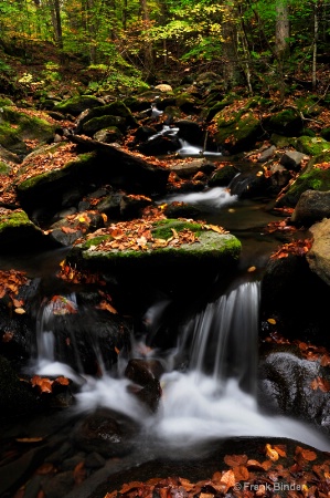 Autumn Stream 1