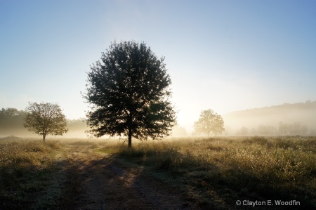 Dawn at the Farm