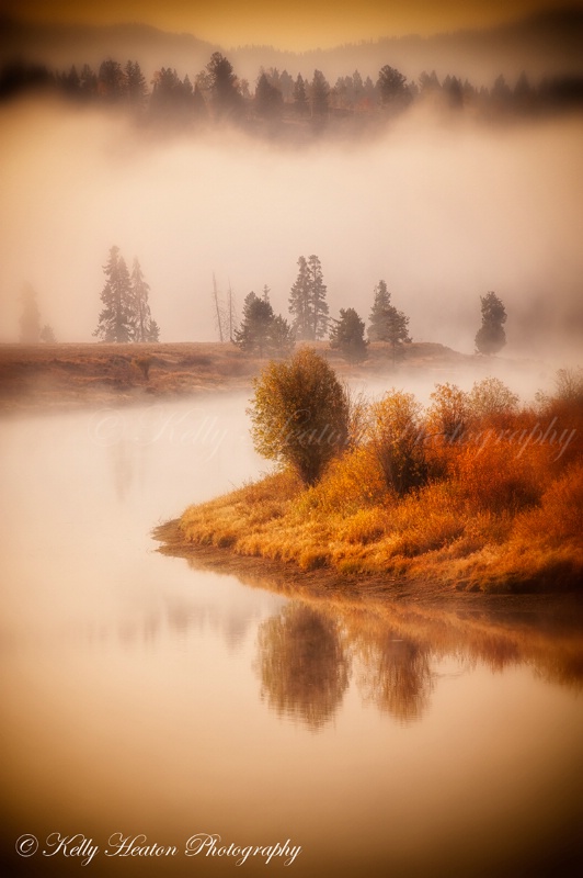 Misty Morning along Snake River