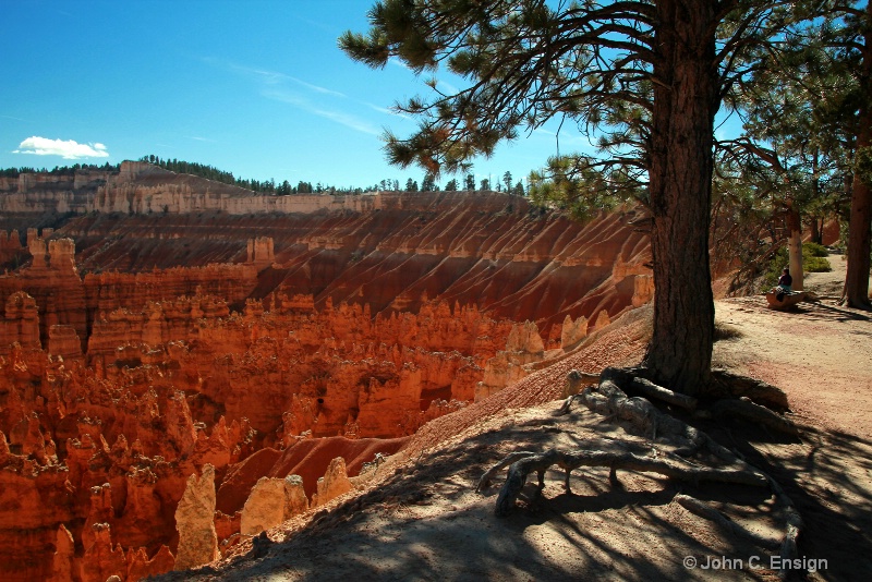 Brice Canyon,  Utah