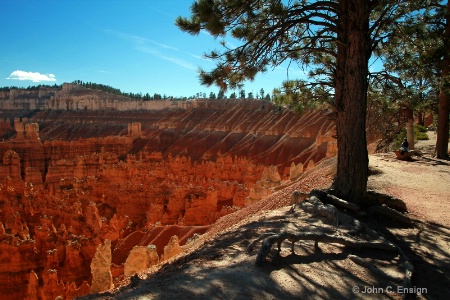 Brice Canyon,  Utah