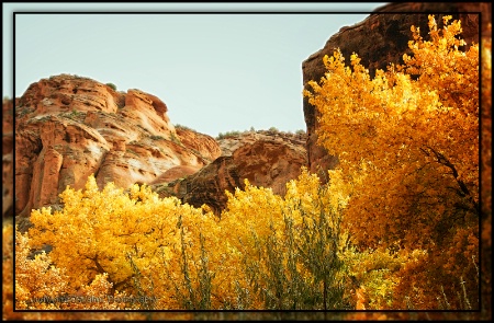 Fall in Canyon De Chelly