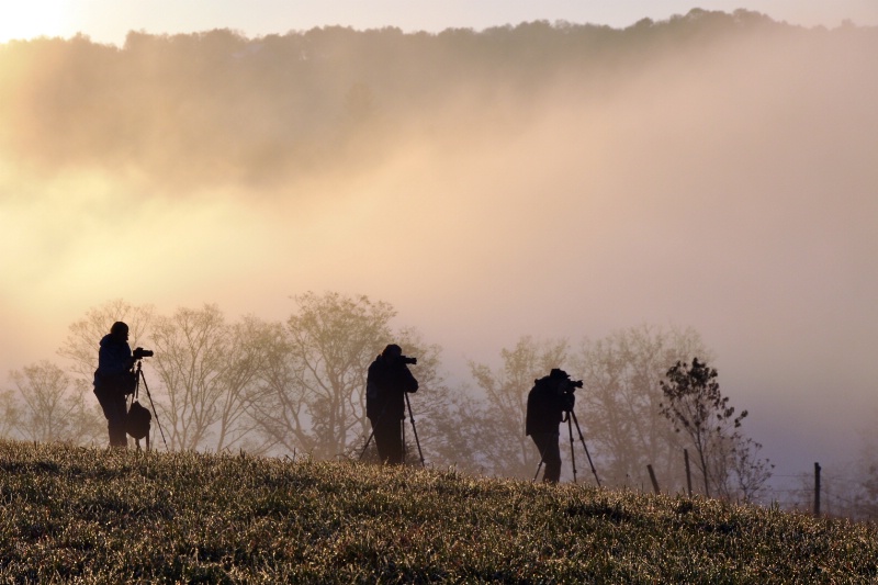 Photographers Having Fun on a Foggy Morning 