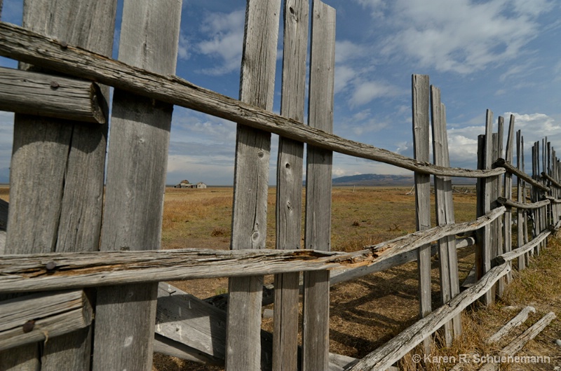 Through the Fence, Back in Time