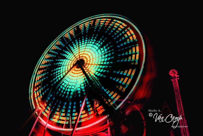 Wild Ferris Wheel