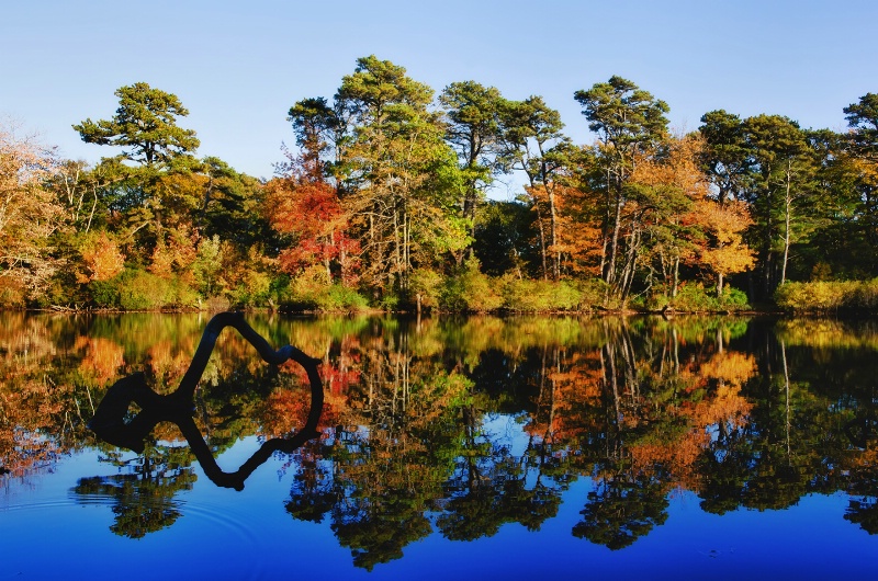 Autumn Reflections