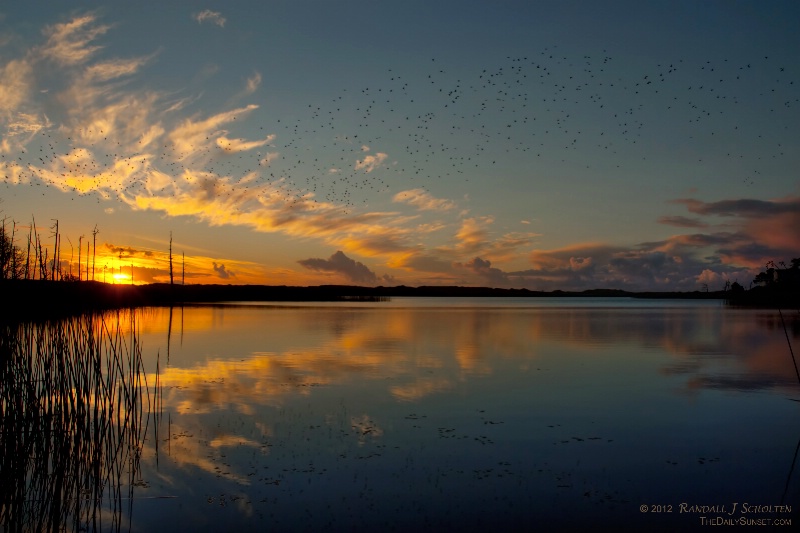 Peppered Sky