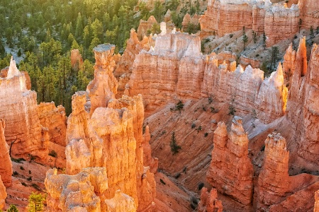 Daybreak at Bryce Canyon