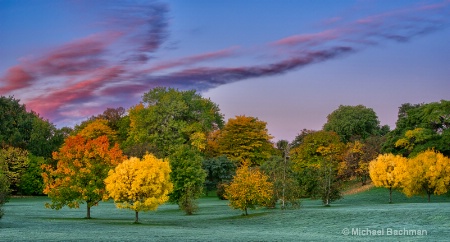 Autumn colours at the Arboretum