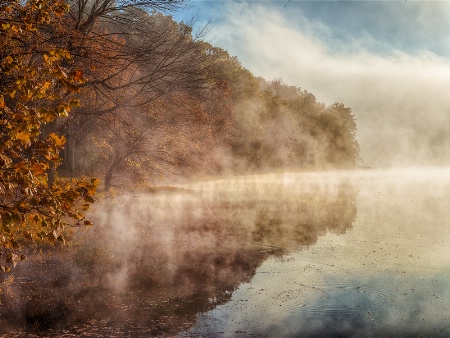 Fall Fog