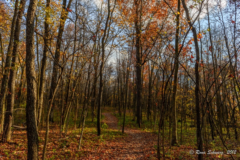 A Trail Runs Through It