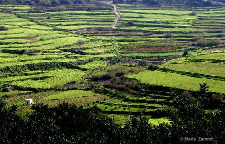 Wardija Valley, Malta