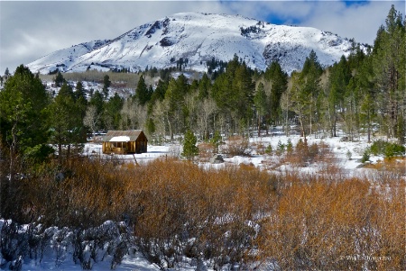 Hope Valley Cabin 