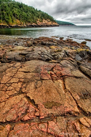 Rocky Coast