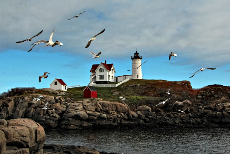 Nubble Light and Gulls