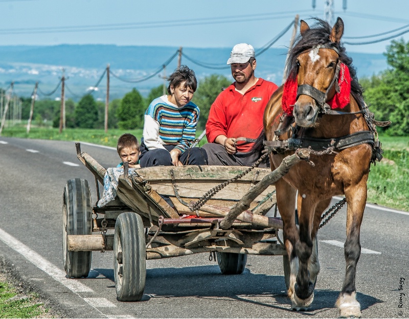 A Working Family