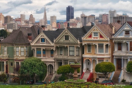 Painted Ladies