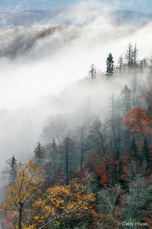 Morning Fog on the Blue Ridge Parkway