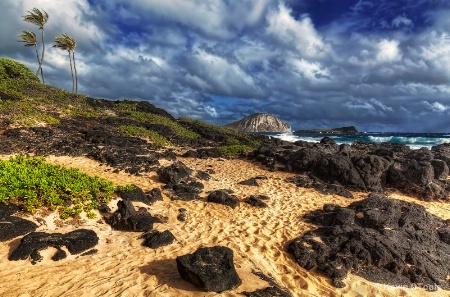 Beach Texture