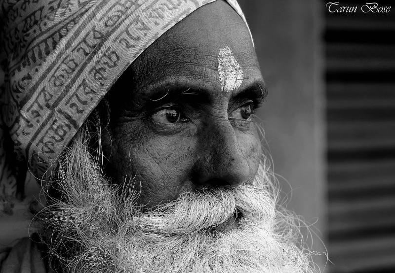 Profile of a Sadhu.