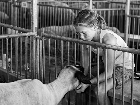 A Girl and Her Lamb
