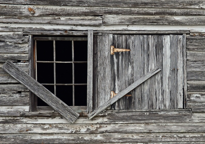 Window to the Past