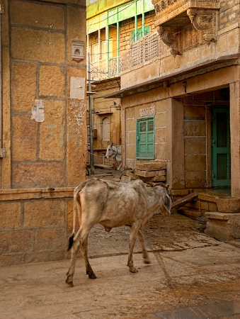 Havelis Streets of Jaisalmer