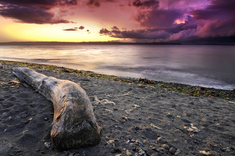 Pacific Northwest Beach