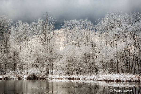 Reflections of Winter