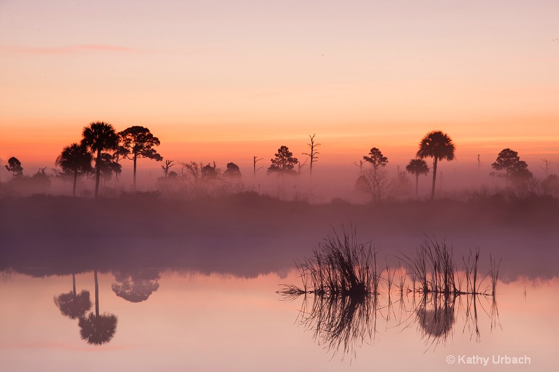 Sunrise-Central Florida