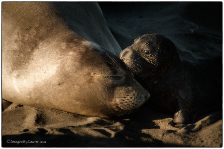 A Little Tenderness