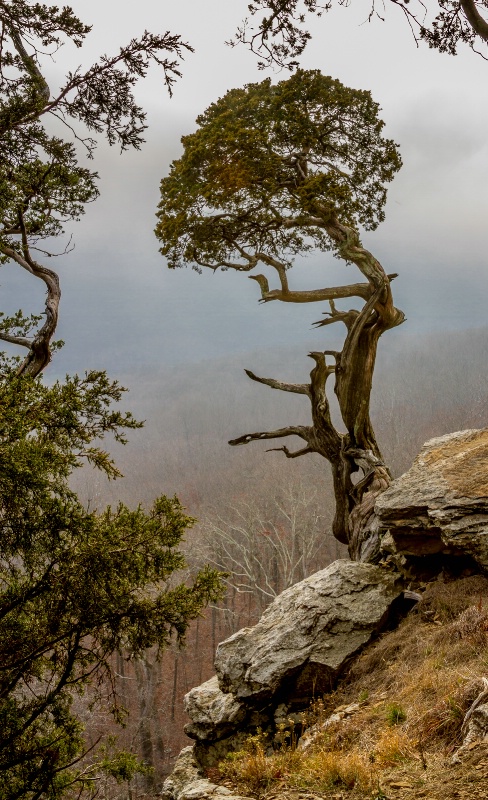 Mt. Magazine St. Park Arkansas