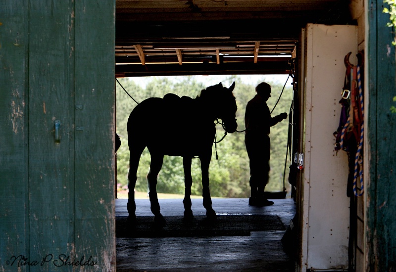 Through the Barn Door