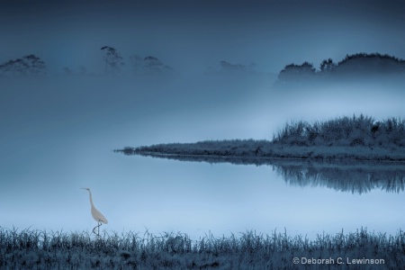 Dawn at Chincoteague