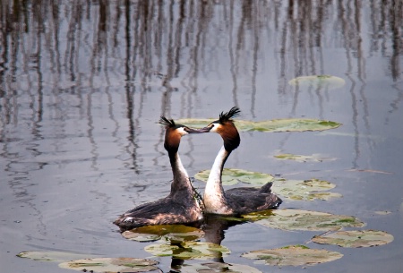 Love On the Canal