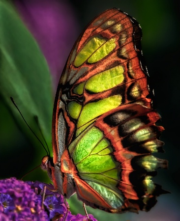 malachite